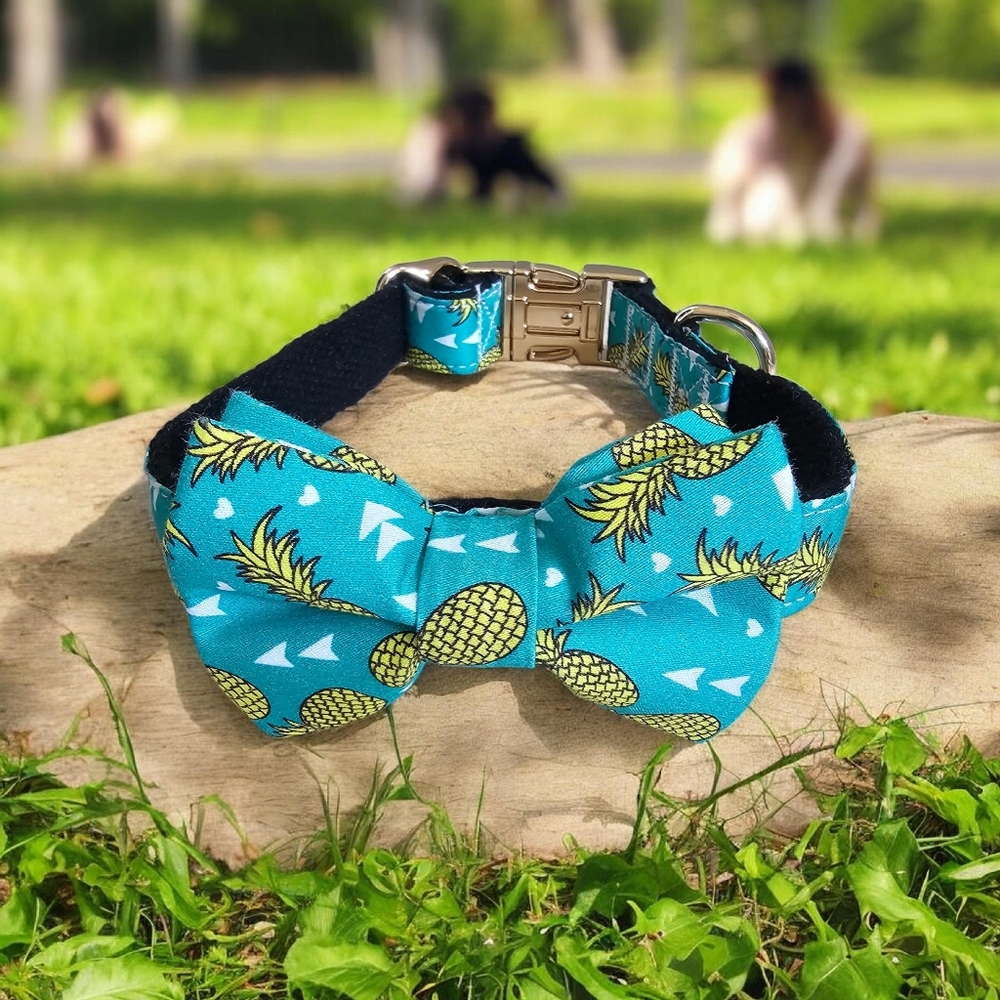 Pack, Pineapple Dog Collar With Bowtie.